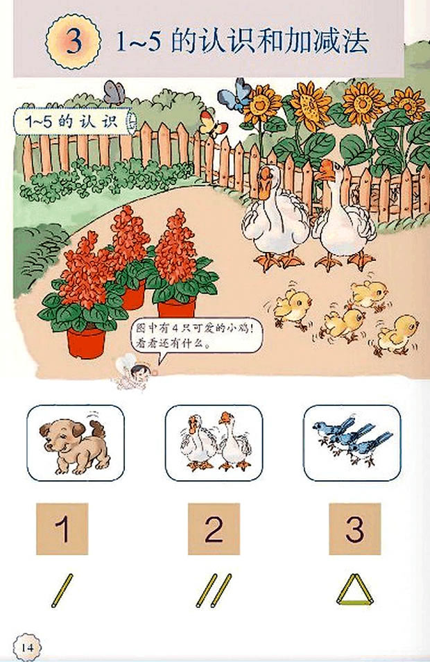 31-5J(rn)RͼӜp_31